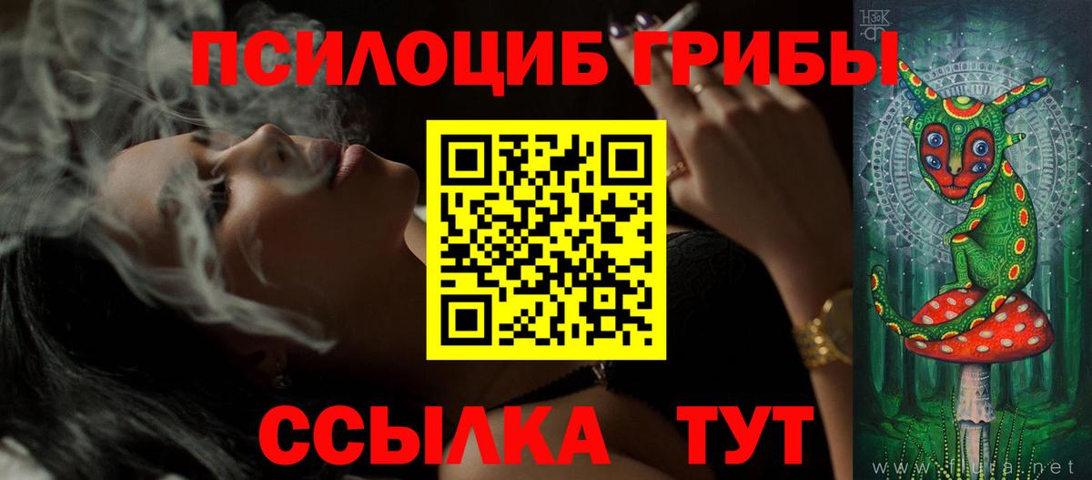 Псилоцибиновые грибы GOLDEN TEACHER Знаменск
