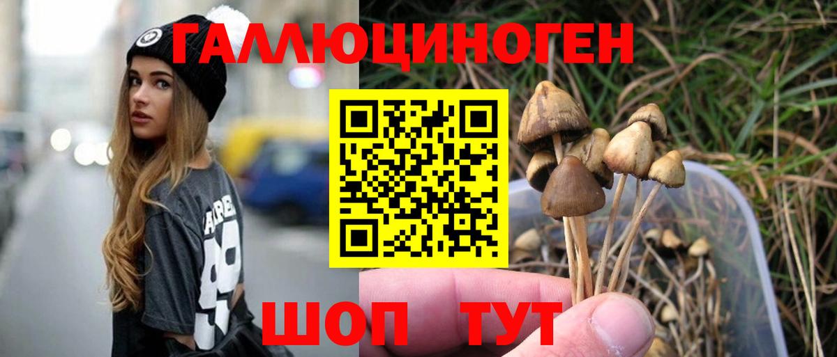 Псилоцибиновые грибы GOLDEN TEACHER  Вход с VPN  Знаменск  как найти   Псилоцибиновые грибы мухоморы 